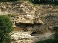 Aladzha Monastery