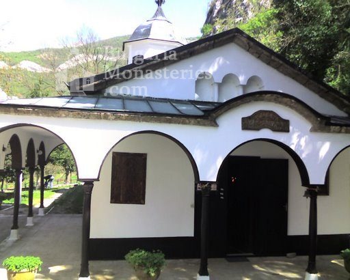 Черепишки манастир - Църквата (Снимка 16 от 29)