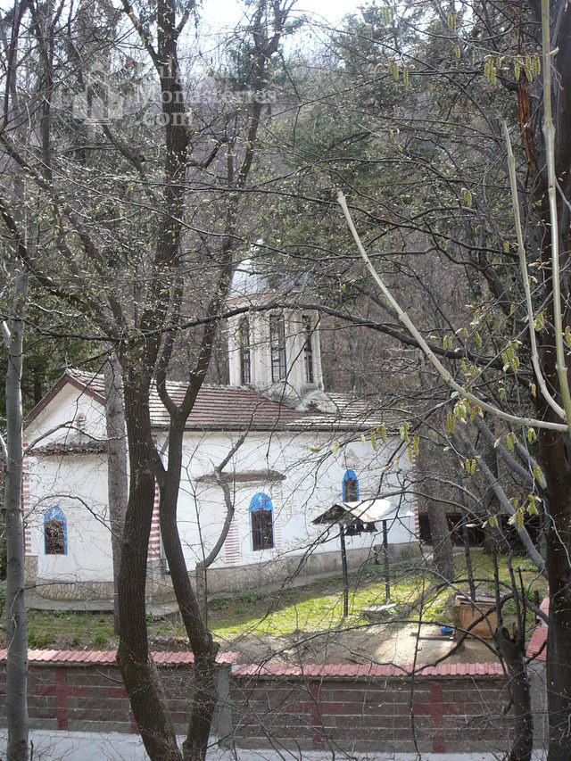 Дивотински манастир - Църквата 
