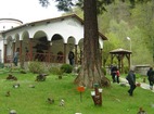 Осеновлашки манастир - Църквата 