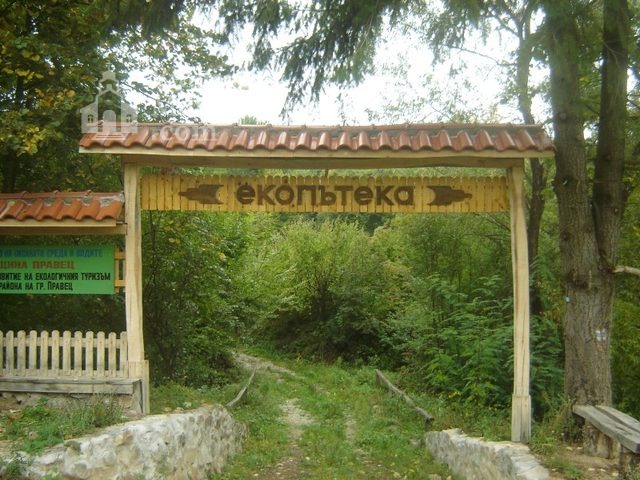 Правешки манастир - Начало на екопътеката (Снимка 13 от 21)