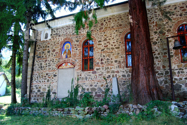 German Monastery “St.Ivan Rilski” - The two sequoias (Picture 2 of 46)