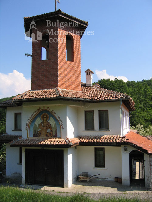 Чекотински манастир - Църквата (Снимка 6 от 17)