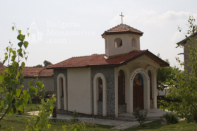 Черепишки манастир - Църквата (Снимка 7 от 29)
