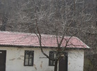 Дивотински манастир - Манастирските сгради