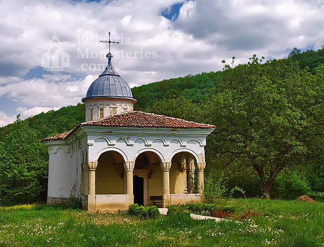 Плаковски манастир - Църквата (Снимка 3 от 12)