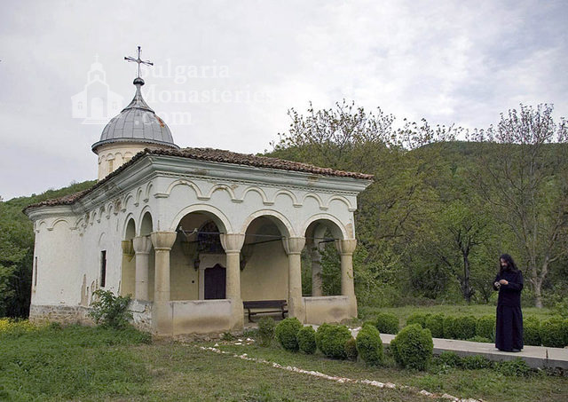 Плаковски манастир - Църквата (Снимка 4 от 12)